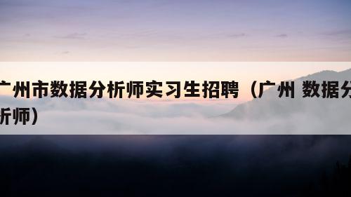 广州市数据分析师实习生招聘