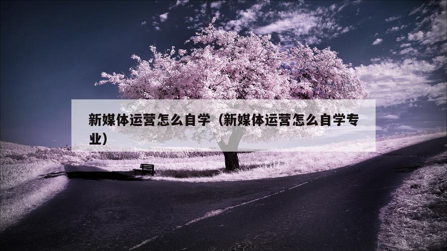 新媒体运营怎么自学（新媒体运营怎么自学专业）