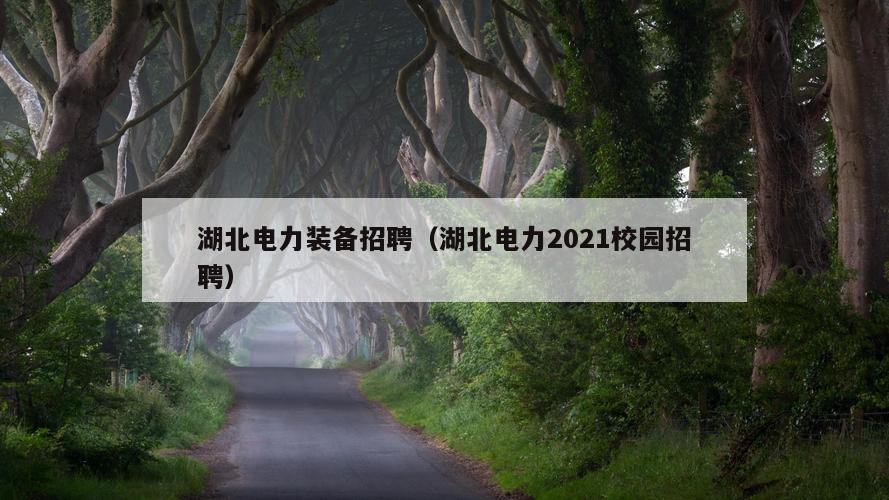 湖北电力装备招聘（湖北电力2021校园招聘）