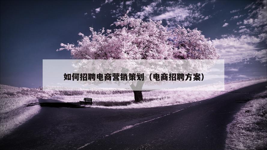 如何招聘电商营销策划（电商招聘方案）