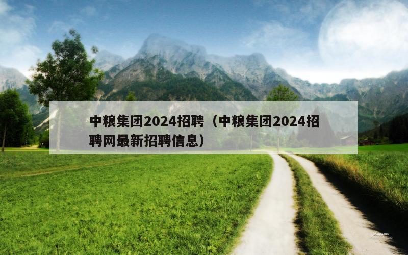 中粮集团2024招聘