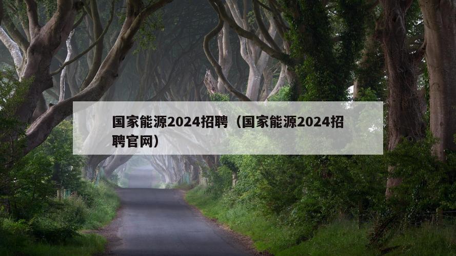 国家能源2024招聘（国家能源2024招聘官网）