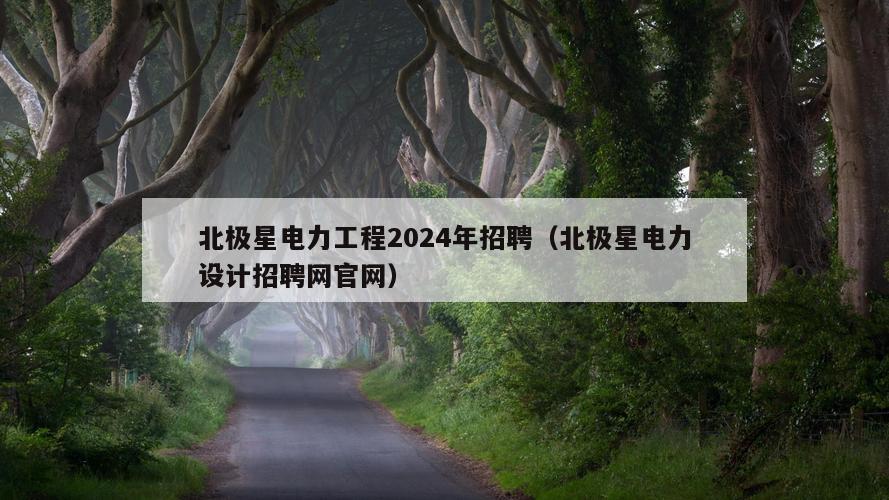 北极星电力工程2024年招聘