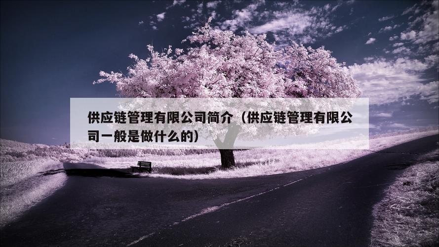 供应链管理有限公司简介