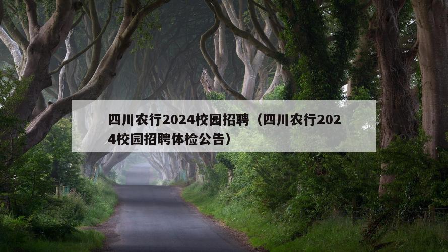 四川农行2024校园招聘