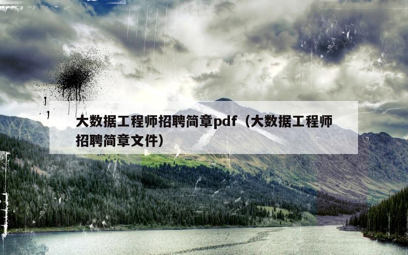 大数据工程师招聘简章pdf（大数据工程师招聘简章文件）