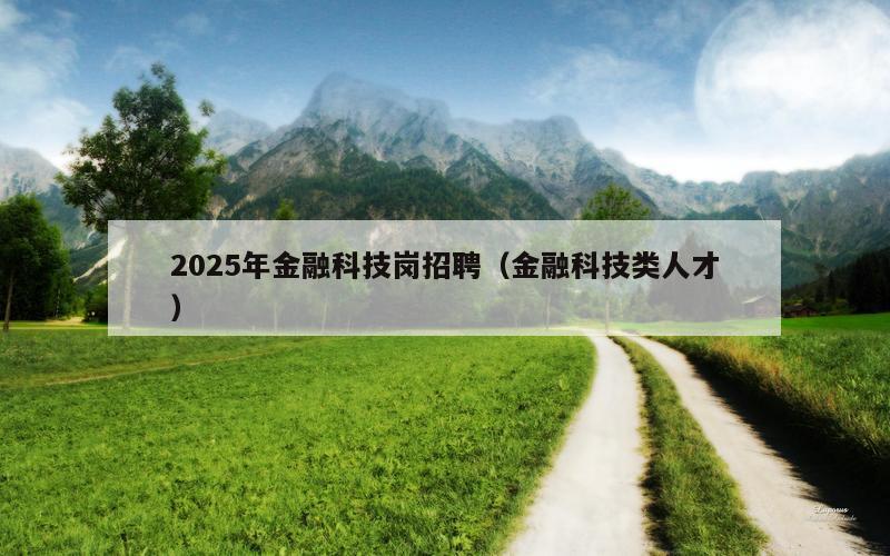 2025年金融科技岗招聘