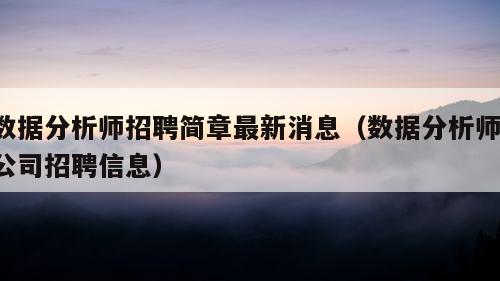 数据分析师招聘简章最新消息