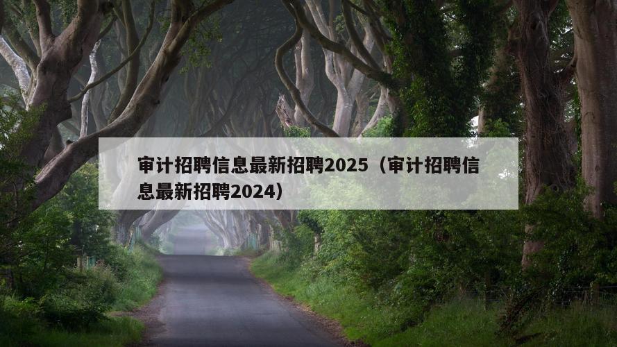 审计招聘信息最新招聘2025（审计招聘信息最新招聘2024）