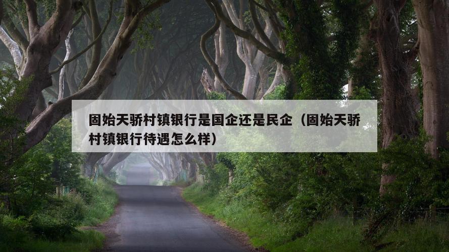 固始天骄村镇银行是国企还是民企（固始天骄村镇银行待遇怎么样）