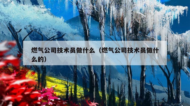 燃气公司技术员做什么