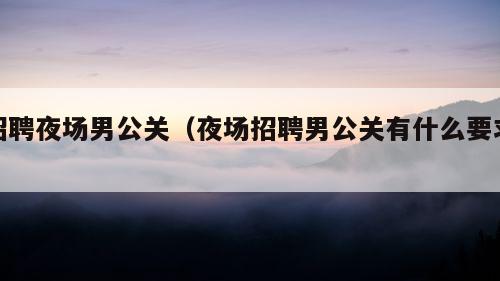 招聘夜场男公关（夜场招聘男公关有什么要求）