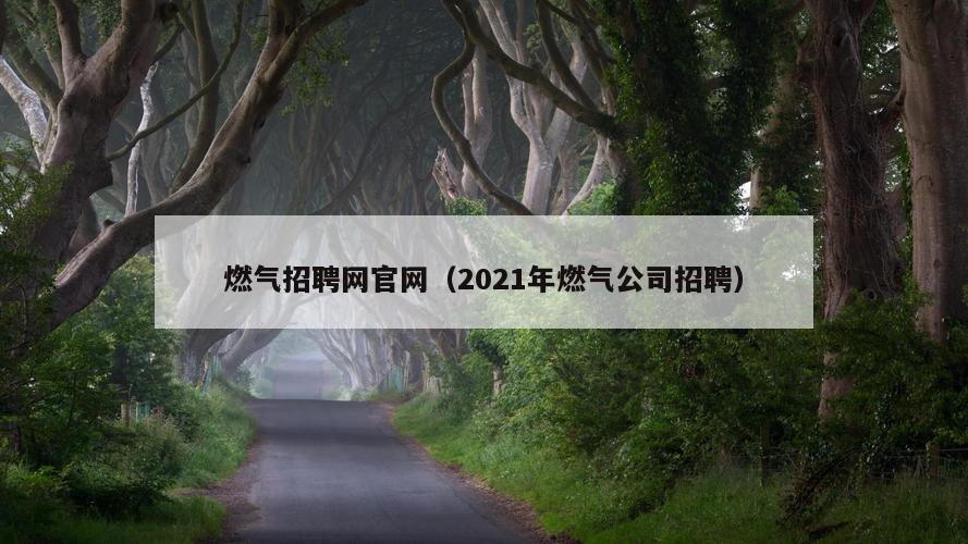 燃气招聘网官网（2021年燃气公司招聘）