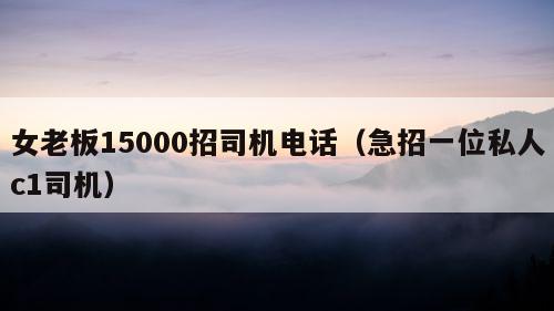 女老板15000招司机电话（急招一位私人c1司机）